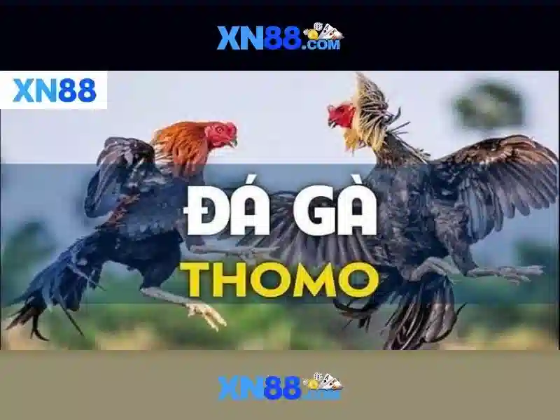 💎fun888 nhà cái💎