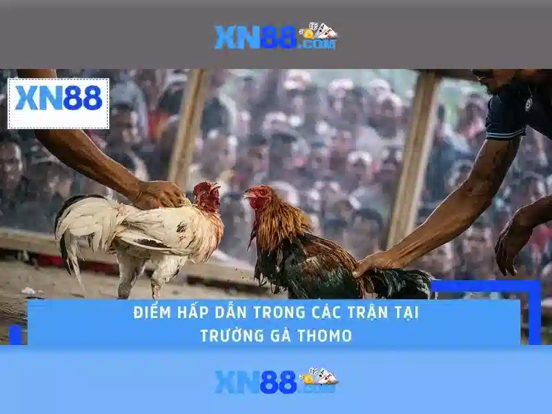 💎kèo nhà cái châu á💎