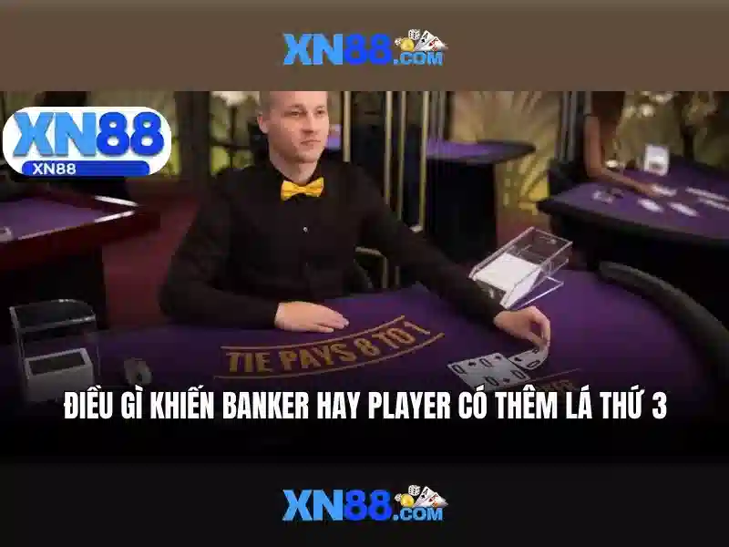 xn88 - Nền tảng cược trực tuyến toàn diện cho người chơi Việt