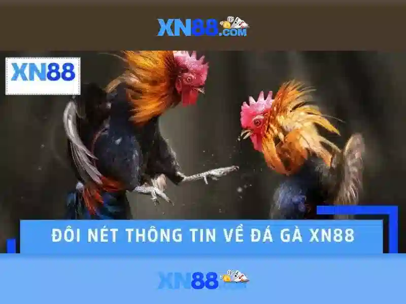 💎kèo nhà cái vòng loại world cup💎