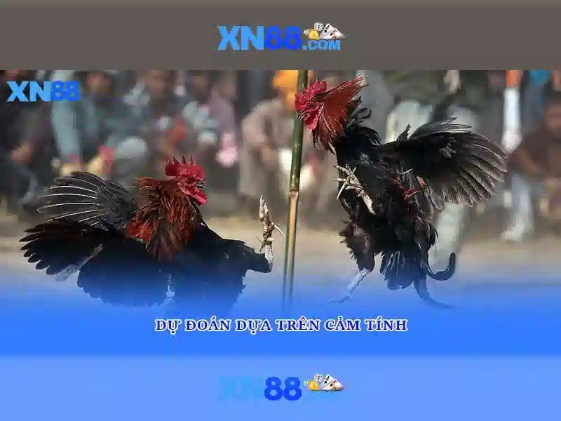 💎slot openen woubrugge💎