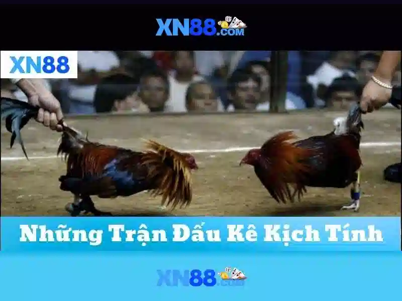 💎777 lucky slots login register💎