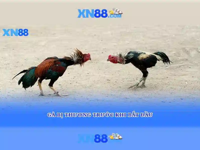 💎nhịp sống tây bắc mới nhất💎