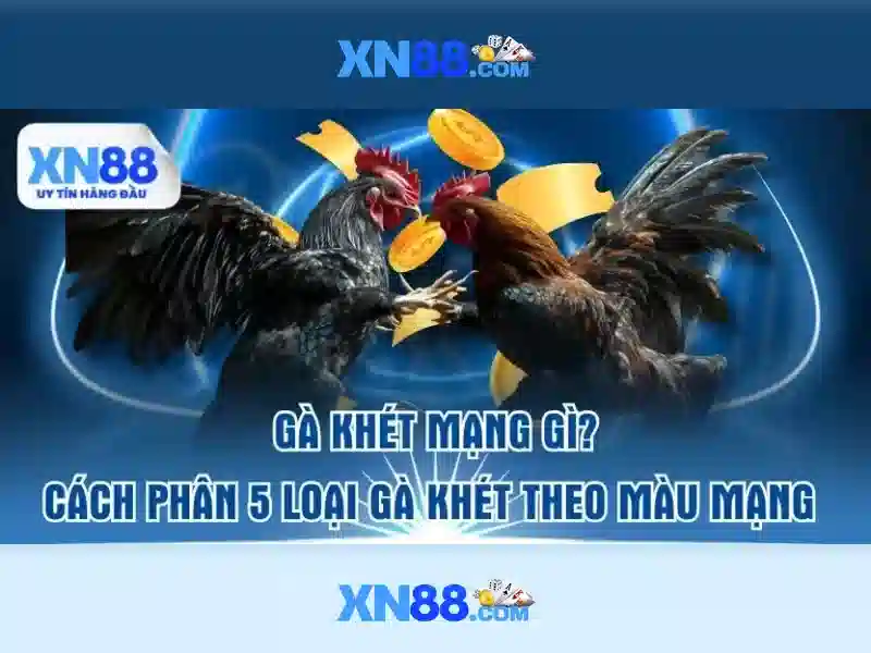 💎sông mây bắc sơn trảng bom đồng nai💎