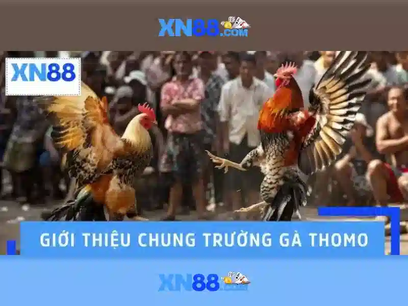 💎cá cược thể thao top10💎