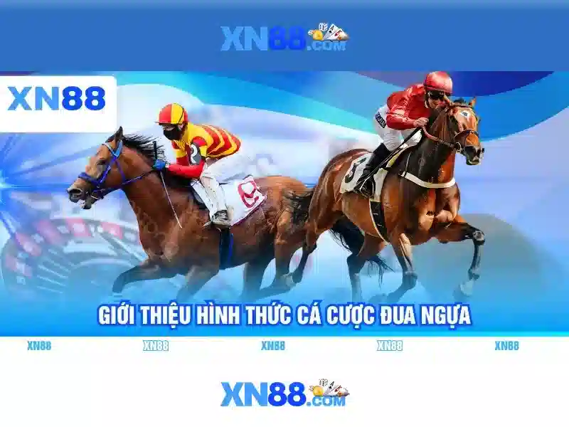  đánh giá nhà cái - XN88