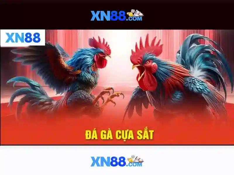 💎nhà cái tài xỉu vodich88💎