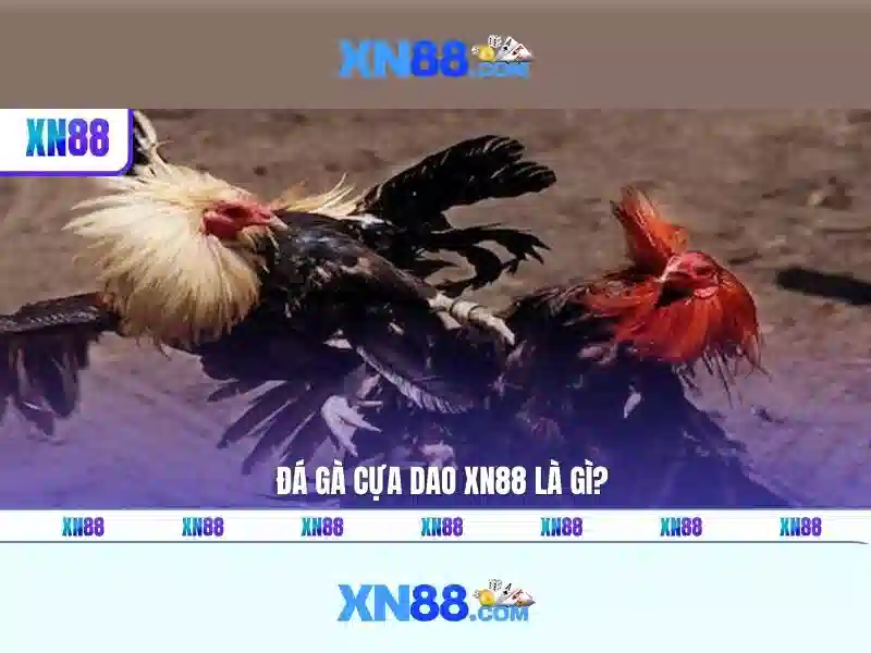 💎phim sòng bạc 2023💎