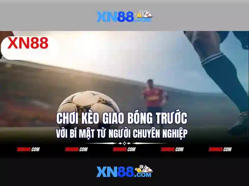 💎wonder hounds slot💎