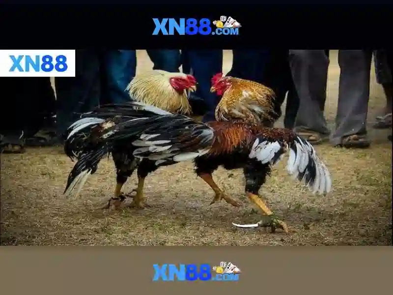 💎49 hb88 casino login💎