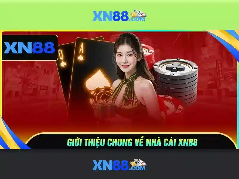 💎nhà cái uy tín top5 bet💎