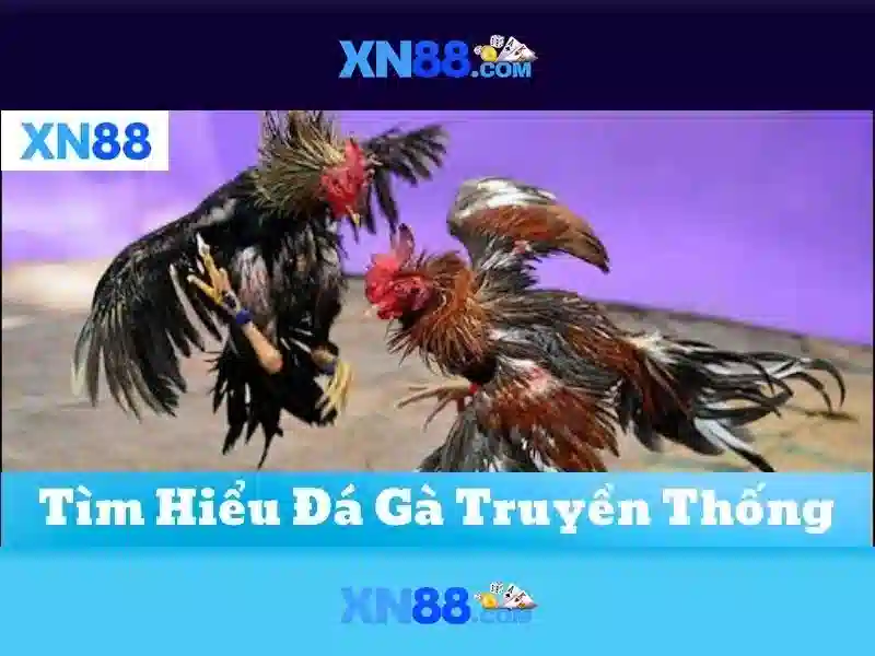 💎88vv hb88💎