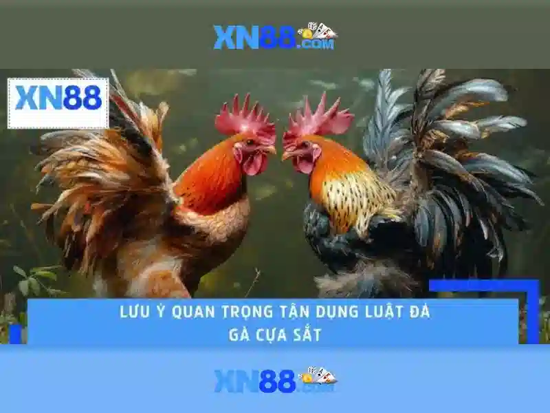 💎danh sách bác sĩ trung tâm tim mạch đà nẵng💎