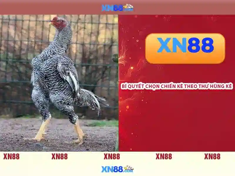 💎classic slots free casino💎