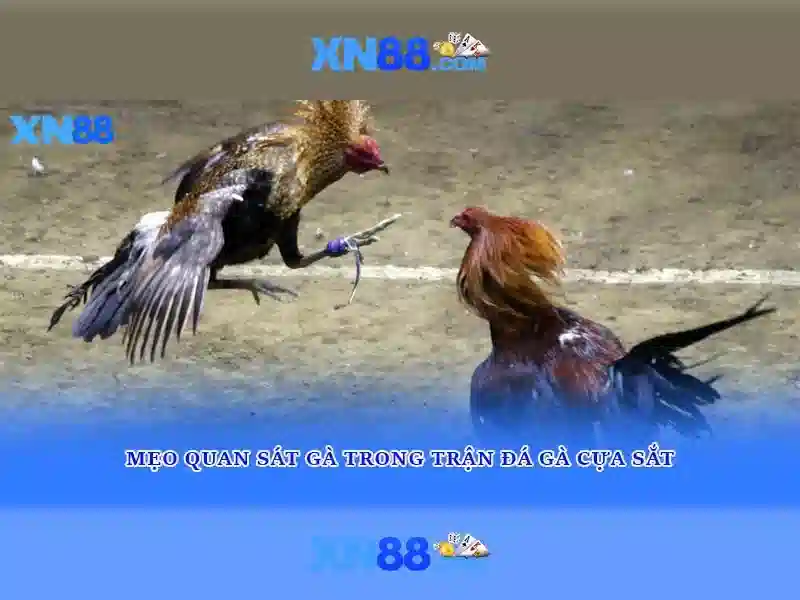 💎keo nha cái .vin💎