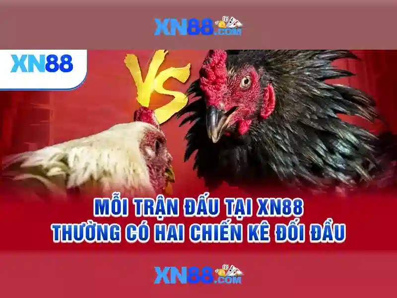 💎đồng bằng hoa bắc hình thành do sông💎
