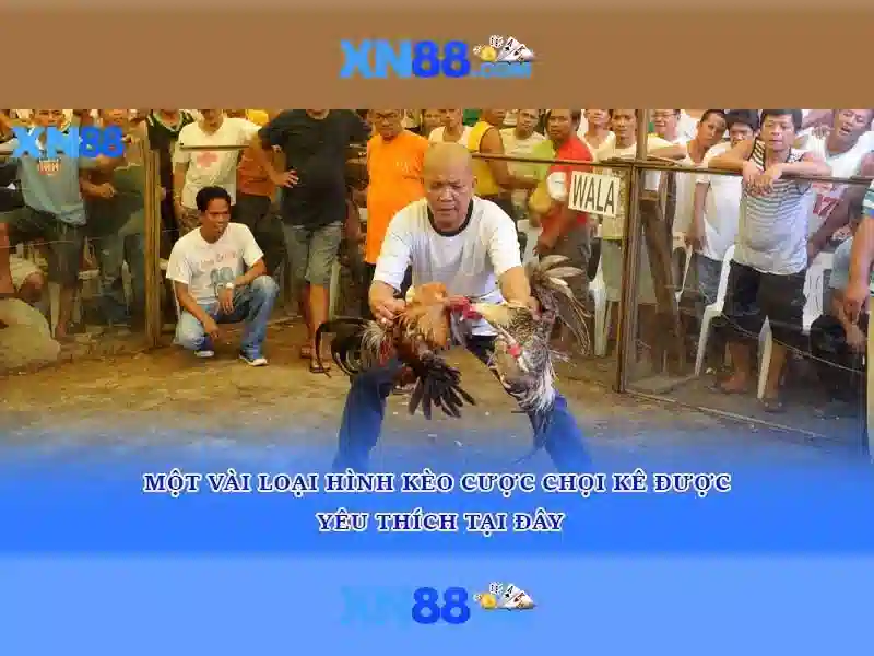 💎trang nha cái uy tín💎