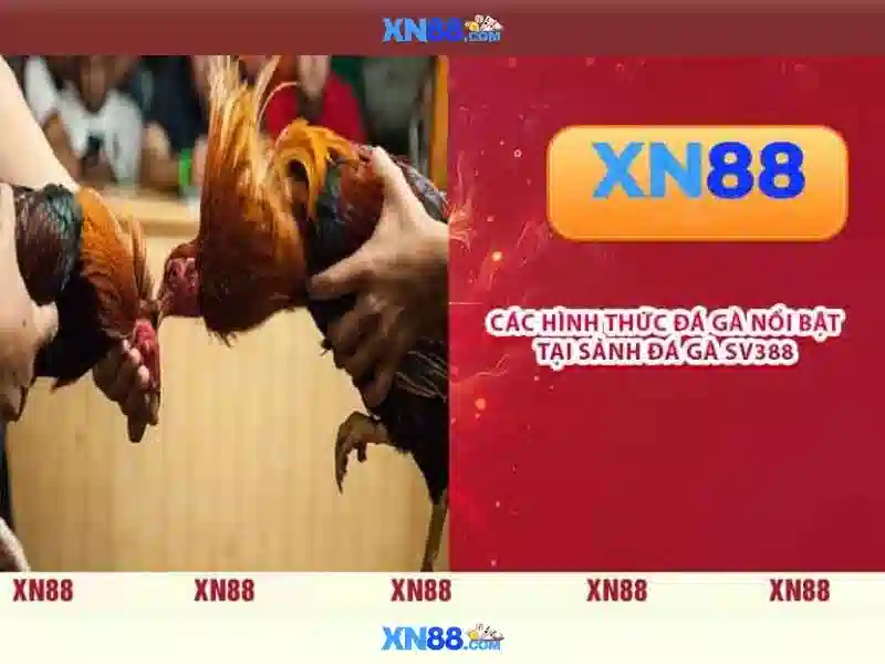 💎hb88 sam💎 - hb88 lì xì - hb88 androi