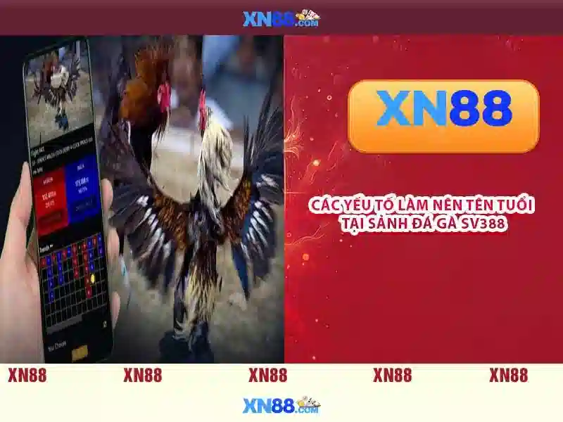 💎nhà cái uy tín cash💎