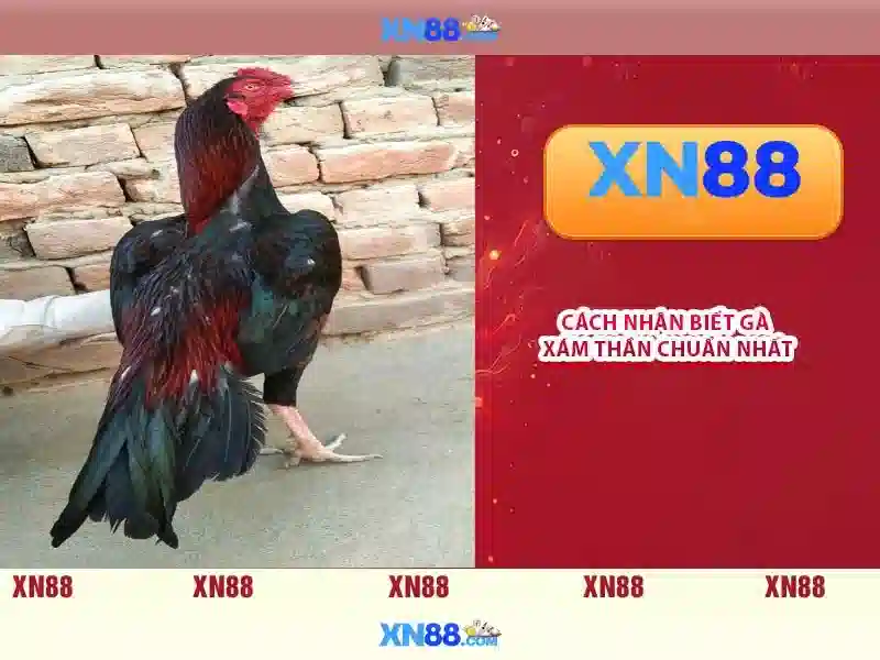 💎uk88 uk88 money💎 - uk88 kdplaysyt - uk88 thái bình