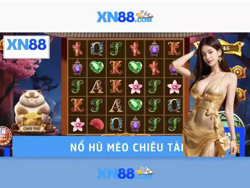 💎nhà xe móng cái điện biên💎