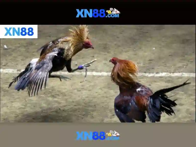 💎asian slot game💎