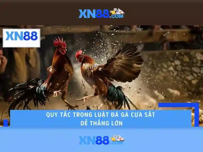 💎sin88 money💎 - sin88 có lừa đảo không - sin88 sin88s com