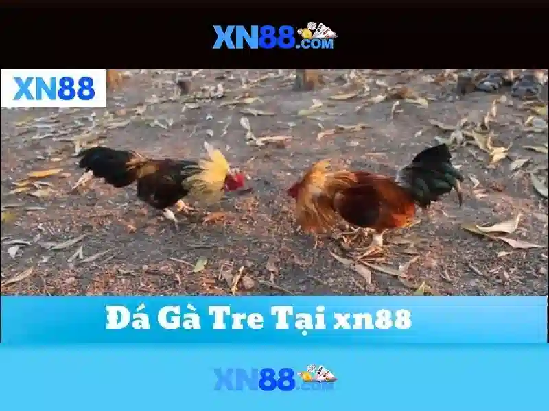 💎sv88 sân chơi đẳng cấp💎 - sv88 top - sv88 one