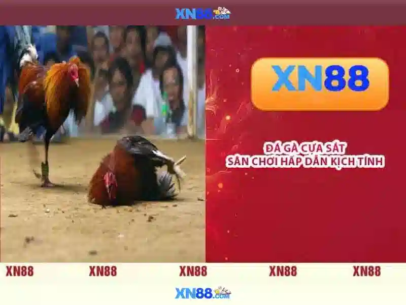 💎site de slots💎