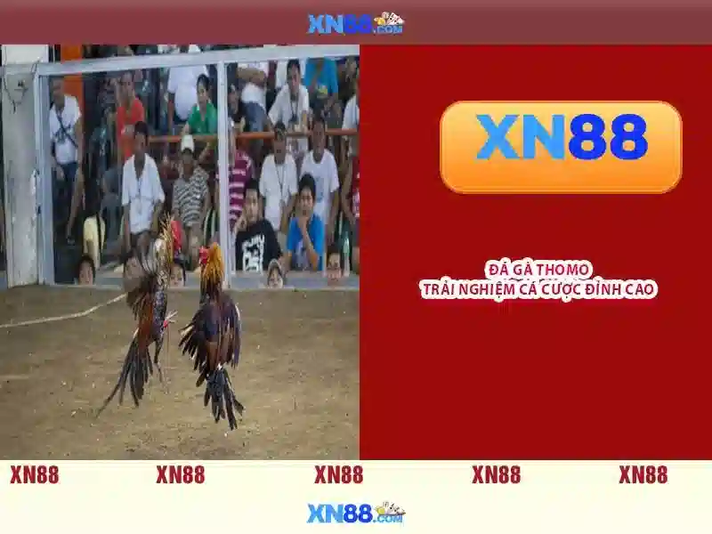 💎game sin88💎 - tải sin88 club - tải sin88