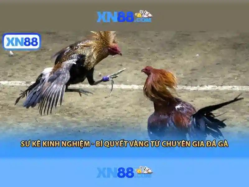 💎best gaming corps slots💎