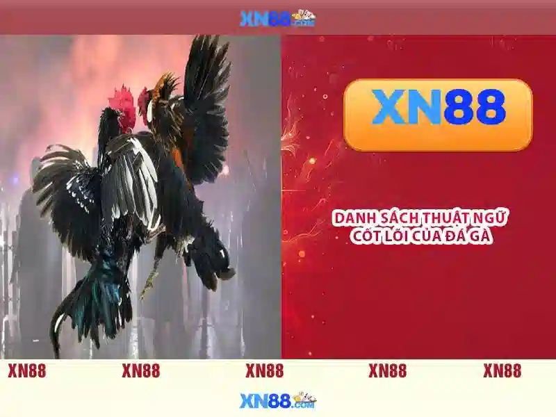 💎88 xn88 casino💎