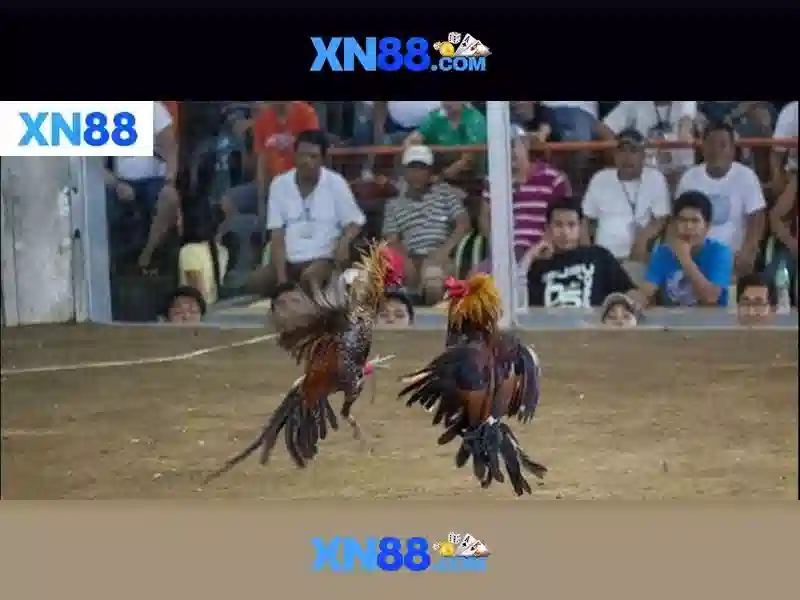 💎888slot slot barcelona💎