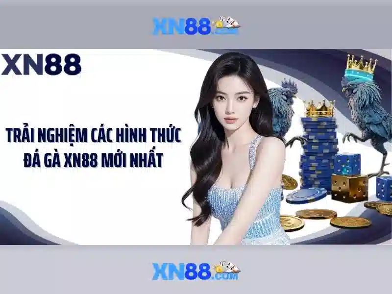 💎nhà cái soi cầu💎