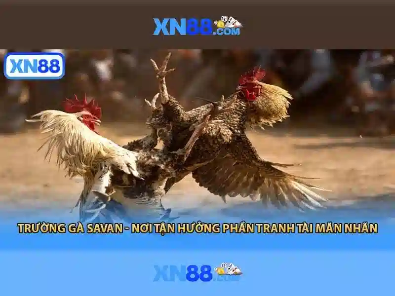 💎kaisar slot 888💎 - java slot 888 - abc 888 slot login