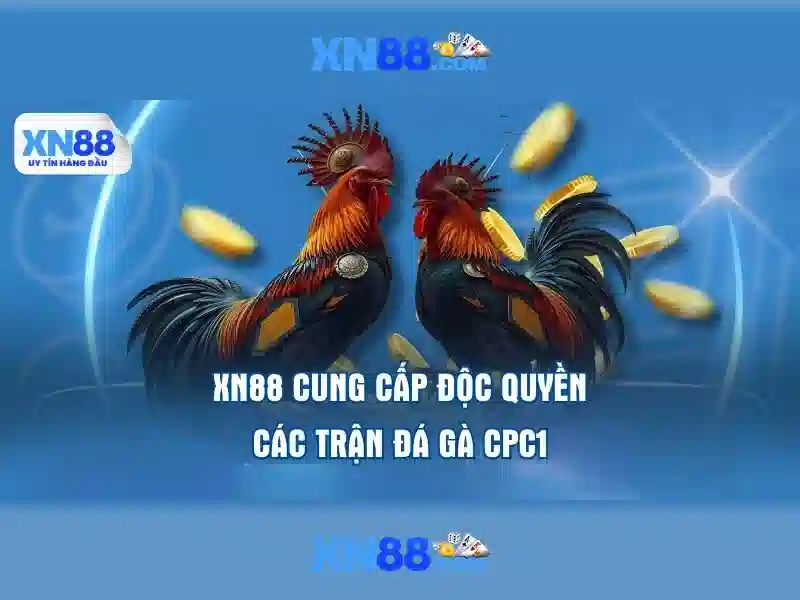 💎trang cá cược bóng đá autop💎