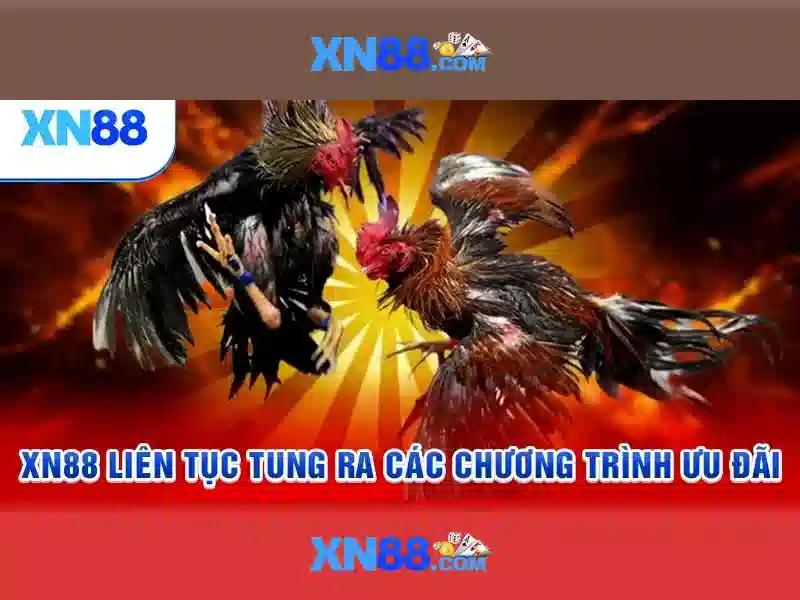 💎bảng chữ cái bồ đào nha💎