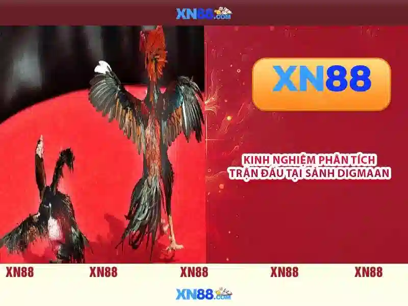 💎kèo nhà cái xoilac💎