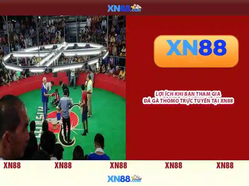 💎fabet castell💎 - fabet nhà cái ở đầu - tổng đài fabet