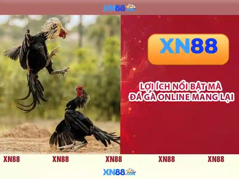 💎nhà cái tặng tiền exslt💎