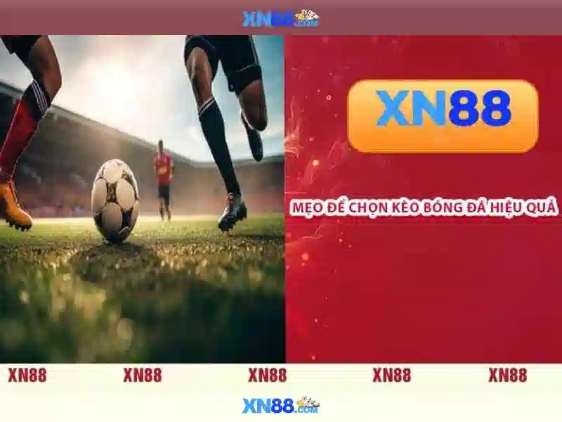 💎keo nha cai keonhacai137.com💎