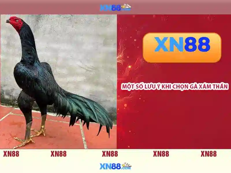 💎hb88 hb88 host💎 - cách nạp tiền hb88 - trang chủ hb88