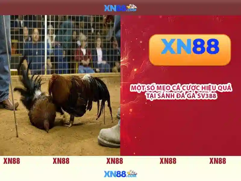 💎w88 thương hiệu cá cược thể thao💎