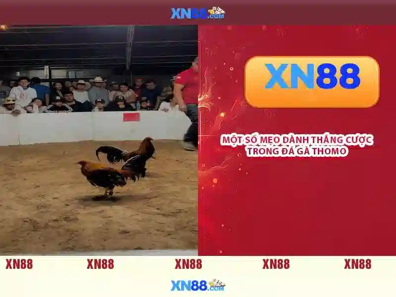 💎xn88 game💎 - xn88 gaming - xn88 สมัคร