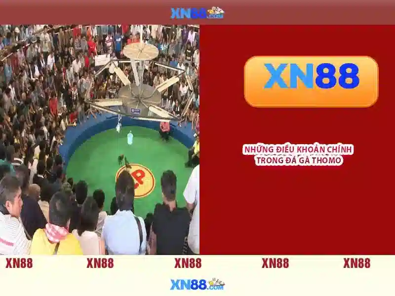 💎w88tel link vào nhà cái💎