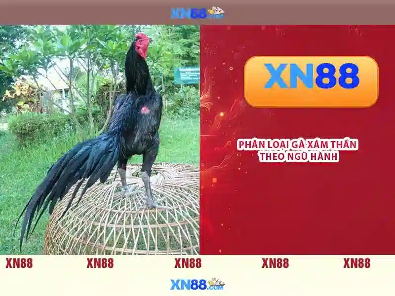 💎tambang 888 slot💎 - luxury 888 slot - golden 888 slot