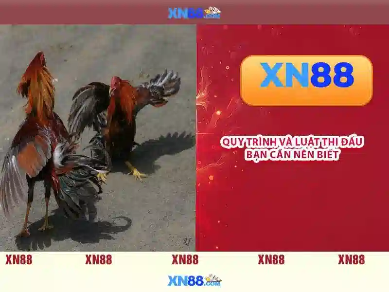 💎manclub manclub15 com💎 - manclub store - manclub link tải 11