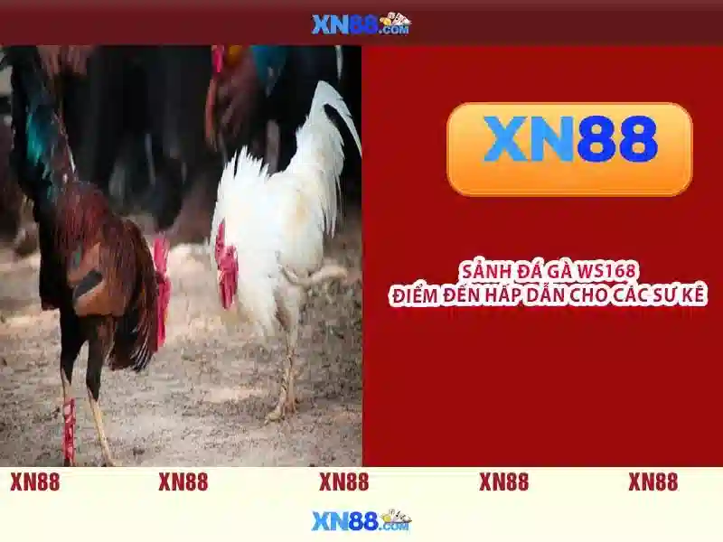 💎đánh lô miền bắc ăn bao nhiêu💎