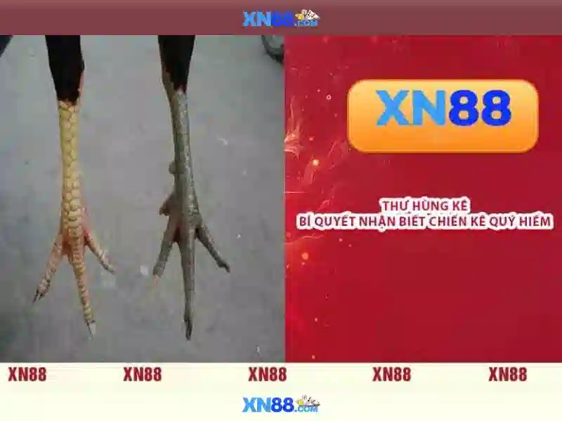 💎kèo nhà cái 5 keonhacai 5 chuẩn💎