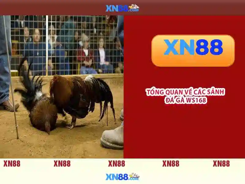 💎sin88 link alternatif💎 - sin88 apk - trang chu sin88